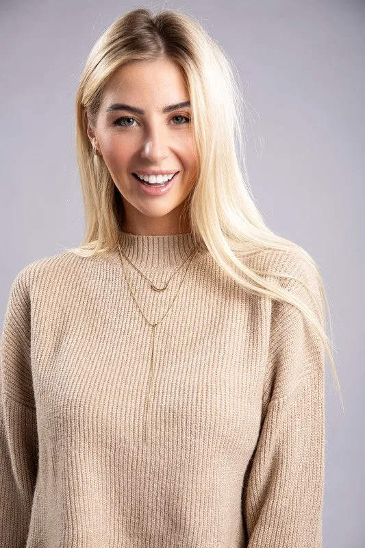 Ambiance Cozy Cropped Mock Neck Pullover