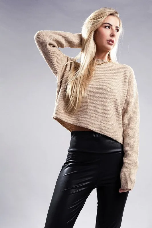 Ambiance Cozy Cropped Mock Neck Pullover