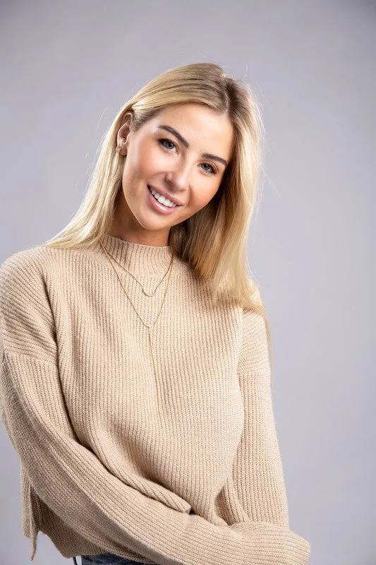 Ambiance Cozy Cropped Mock Neck Pullover