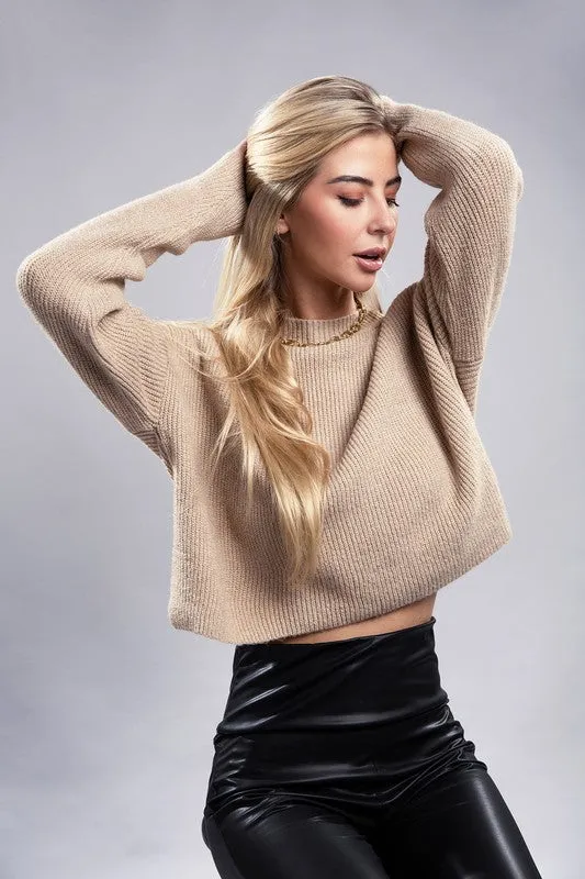 Ambiance Cozy Cropped Mock Neck Pullover