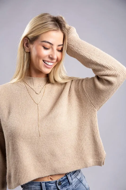 Ambiance Cozy Cropped Mock Neck Pullover